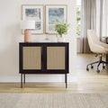 2-Door Rattan Storage Cabinet with Sideboard Design