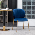 Roundhill Furniture Amoa Modern Velvet Upholstered Dining Chair