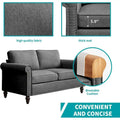 Mixoy Contemporary Loveseat Sofa