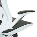 Riley Ergonomic Office Chair with White Mesh Seat and Backrest