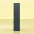 Modern Wardrobe Armoire with Mirror Door Drawers and Shelves