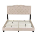 Modern Velvet Queen Size Upholstered Bed Frame with Tufted Headboard and Rivet Accents