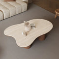 48-Inch Contemporary Cloud-Shaped Coffee Table with Matte Stone Top