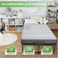 Compact Rollaway Folding Guest Bed with Sturdy Metal Frame and 5-Inch Thick Mattress